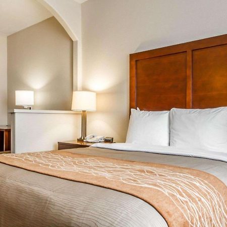 Comfort Inn & Suites Oakland Airport Εξωτερικό φωτογραφία