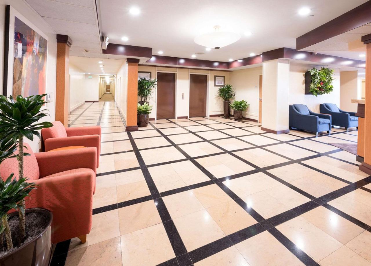 Comfort Inn & Suites Oakland Airport Εξωτερικό φωτογραφία